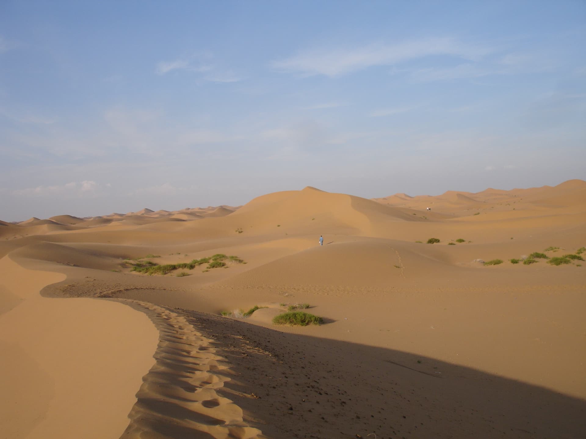 我40歲，我迷惑