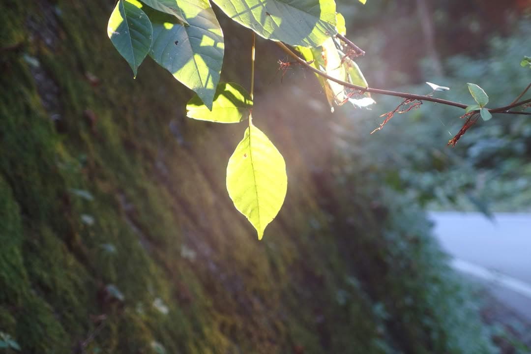 放下「信心」，重拾「初心」