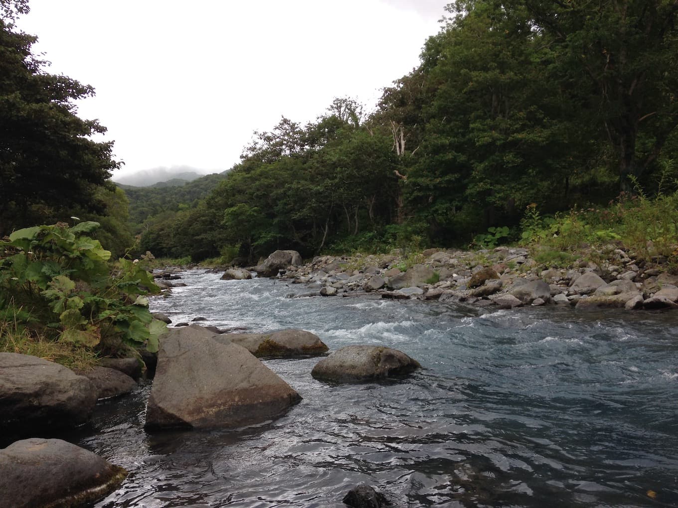 當了父親，才成為兒子