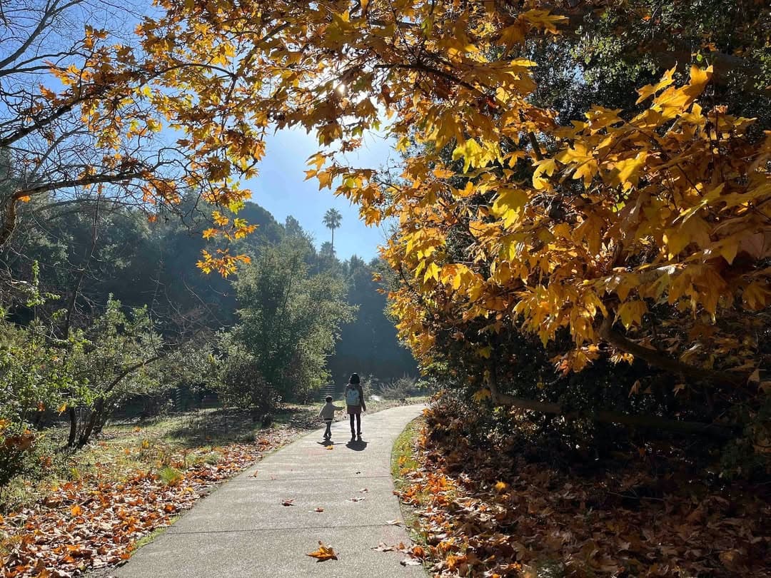 每一天，都是跨年