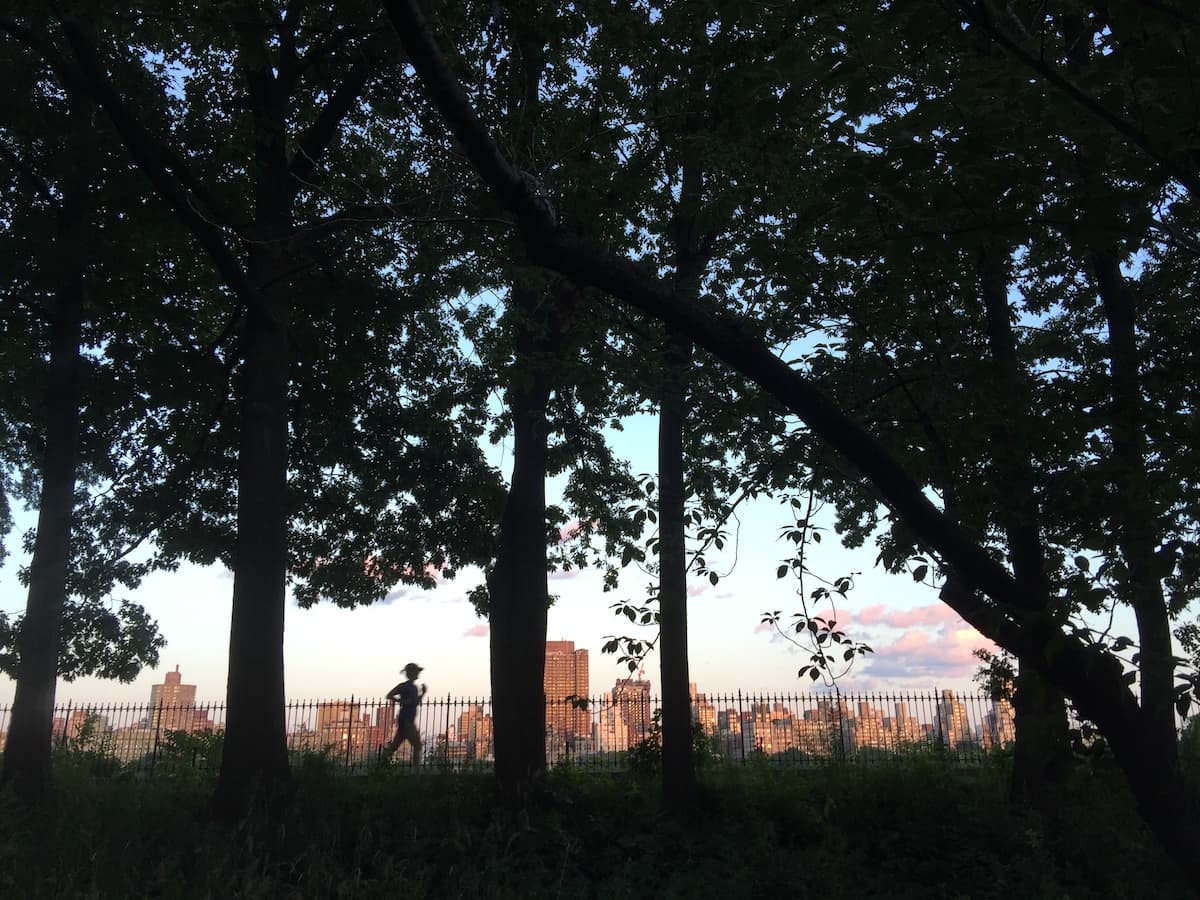 遺憾的只剩熱狗