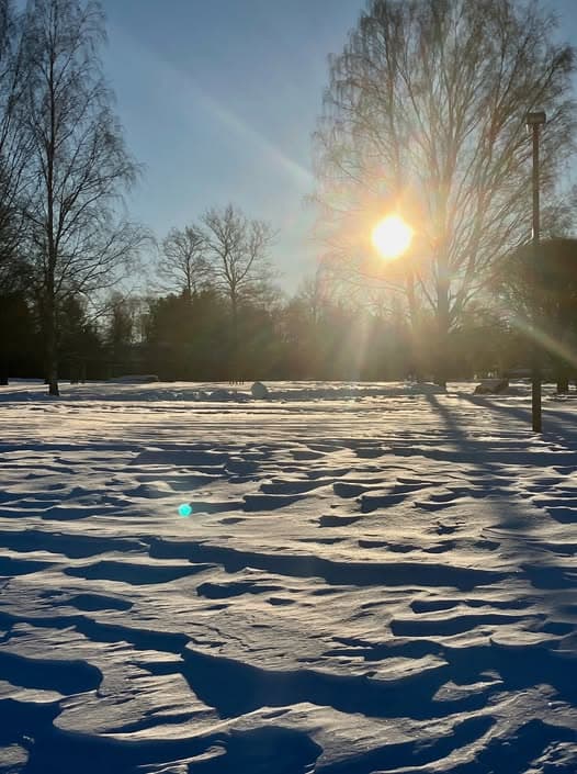 芬蘭人為什麼最快樂？
