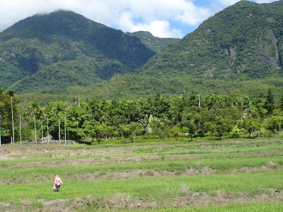懶一點就對了---我在台東學到的人生道理