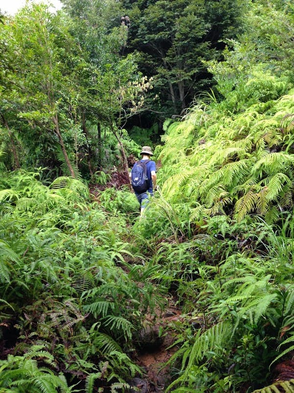 風吹乾了我就走