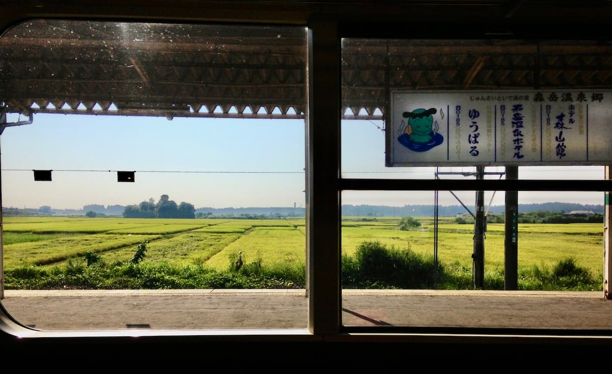 愛「自己」,但不愛「自己的想法」